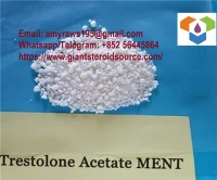 Felső fehér anabolikus por MENT (Trestolon Acetate) CAS:6157-87-5 jó áron