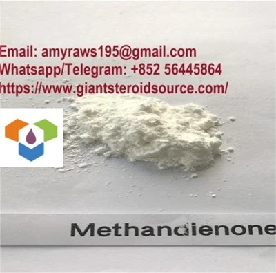 Methandrostenolone (Dianabol, Methandienone) CAS:72-63-9
