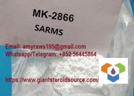 MK-2866 Ostarine 401900-40-1 Izom egyre sarms nyers por gyors hatás