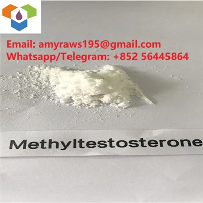 Powder Methyltestosterone(17-Alpha-Methyl-Testosterone)